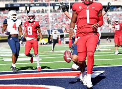 Image result for WSU Sports