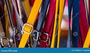 Image result for Colored Belts