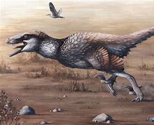 Image result for Feathered Raptor Dinosaur