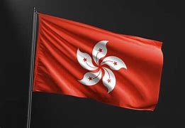 Image result for Hong Kong Balck Flag