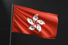 Image result for Black Hong Kong Flag Sticker