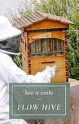 Image result for Honey Bee Hive Flow