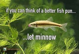 Image result for Funny Fish Jokes for Kids