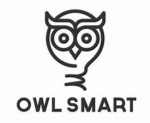 Image result for Owl Cemra