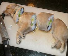 Image result for Corn Dog Sushi