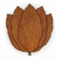 Image result for Tobacco Leaf with Plume