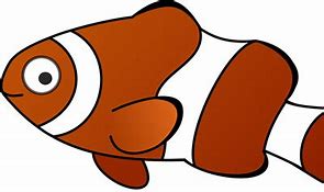 Image result for Fish Face Cartoon