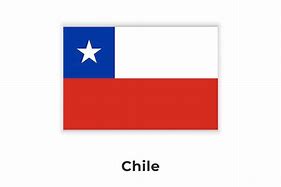 Image result for Chile Flag Logo