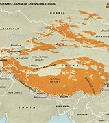 Image result for Snow Leopard Range Map