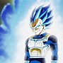 Image result for Super Saiyan Blue Vegeta New Form