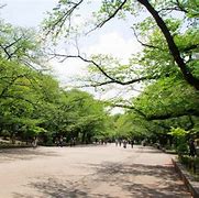 Image result for Ueno Park in Summer