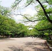 Image result for Ueno Park Banana