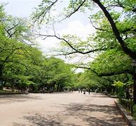 Image result for Explore Ueno Park