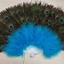 Image result for Peacock Feather Fan