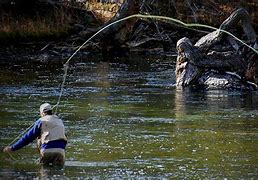 Image result for Fly Fishing Photos Free