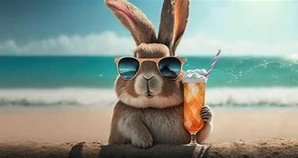 Image result for Summer Vacation Concept Cool Rabbit