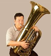 Image result for Tuba Musical