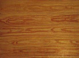 Image result for Maple Wood Grain