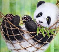 Image result for Background Wallpaper for Laptop Graffiti Panda