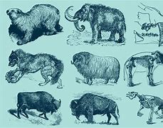 Image result for Ice Age Cartoon