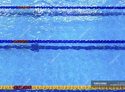 Image result for Spool with Pool Lane Dividers