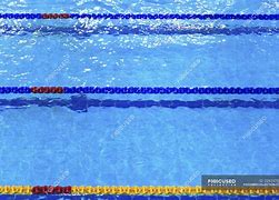 Image result for Pool Lane Dividers Front