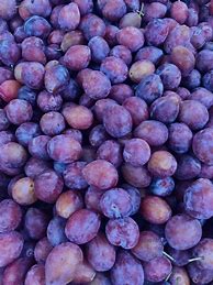 Image result for Sugar Plum Recipe