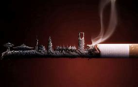 Image result for Cigarette Wallpaper