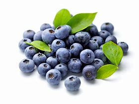 Image result for Blueberry