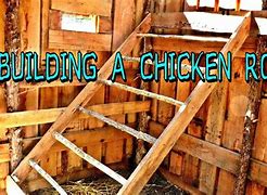 Image result for Building a Chicken Roost