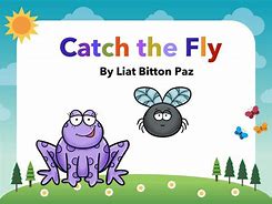 Image result for Catch a Fly