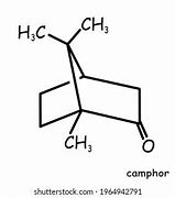 Image result for Camphor Chemical Structure