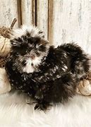 Image result for Chocolate Mottled Silkie Chicks