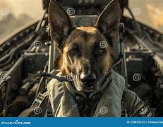 Image result for Dog Fighter Plane