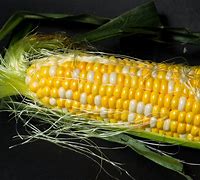 Image result for Lead Corn Cob Molds