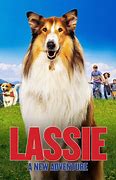 Image result for Lassie Show