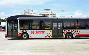 Image result for Smrt Bus for 7