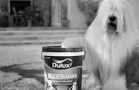 Image result for Dulux Oakbank