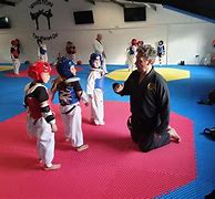 Image result for Taekwondo Tigers