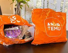 Image result for Temu Man