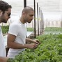 Image result for Hydroponic Watering System