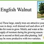 Image result for Walnut Gather