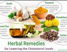 Image result for Best Herbs for Lowering Cholesterol