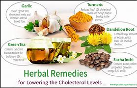 Image result for Home Remedies for Cholesterol