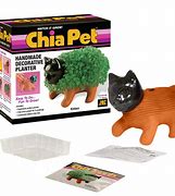 Image result for Classic Chia Pet