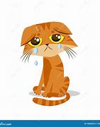 Image result for Crying Kitten