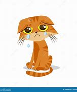 Image result for Crying Bread Cat