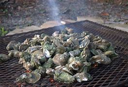 Image result for Beech Mountain Oyster Roast