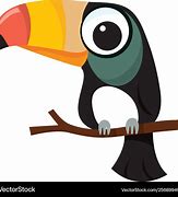 Image result for Toucan Pair