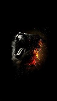 Image result for Black Lion Wallpaper iPhone